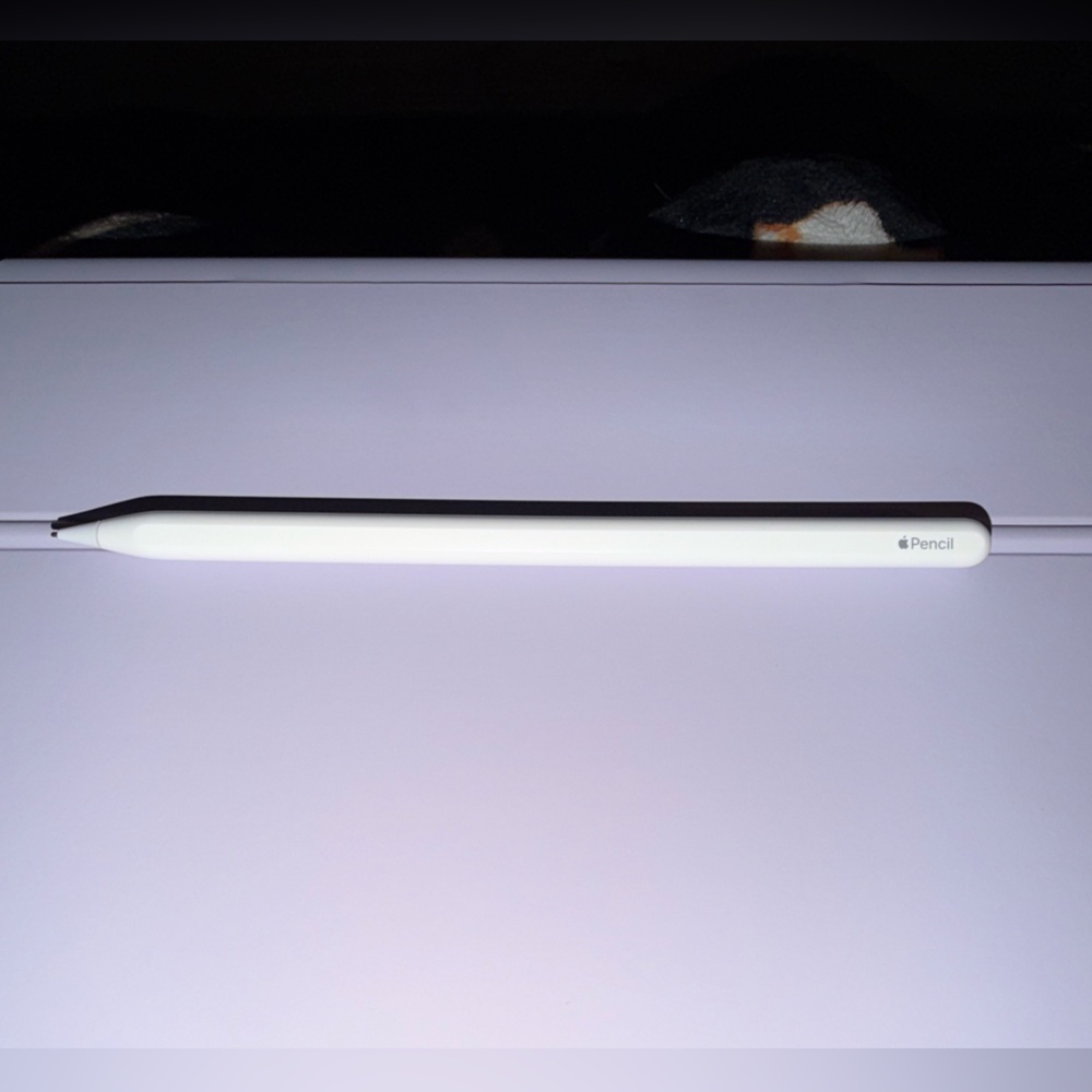 Apple Pencil Stylus
